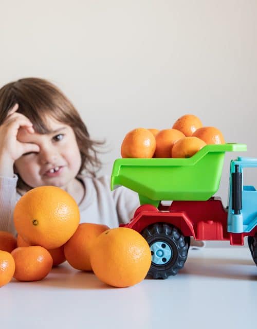 Mix taronja suc i mandarina baby