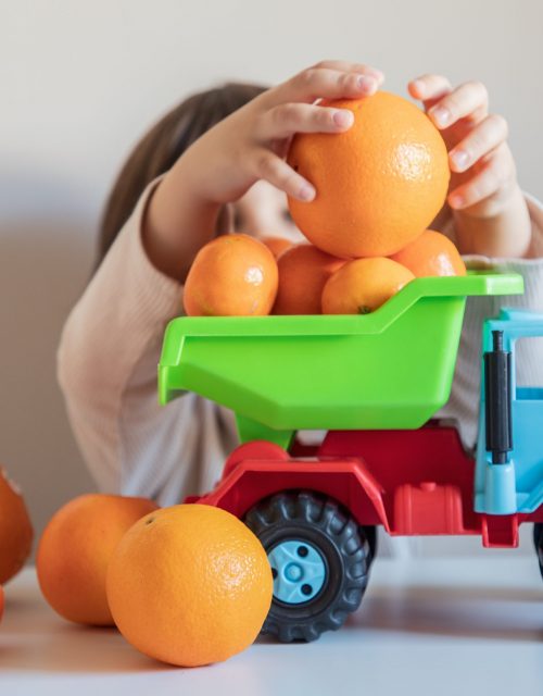 Trio: taronja taula, mandarina extra i mandarina baby
