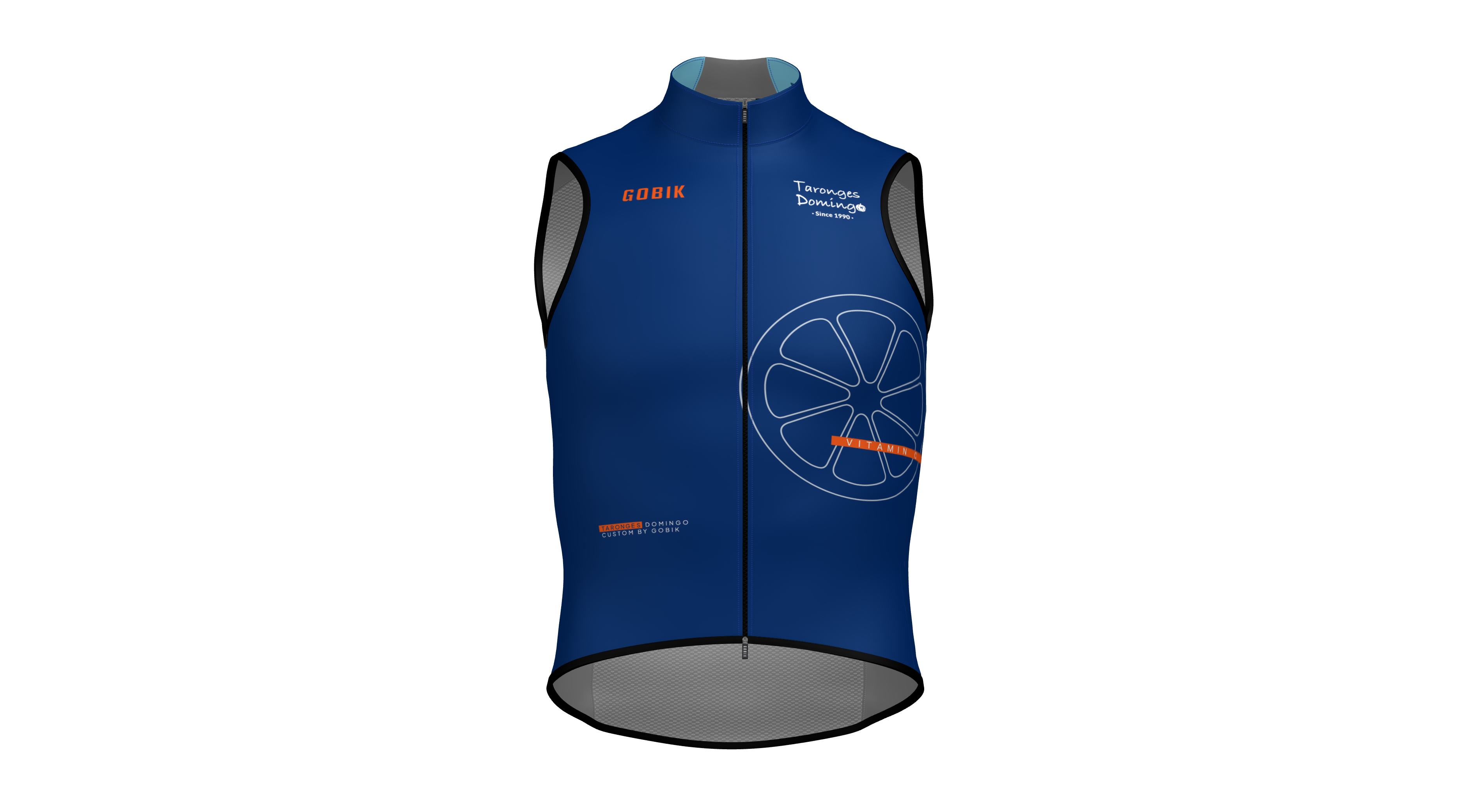 ARMILLA01